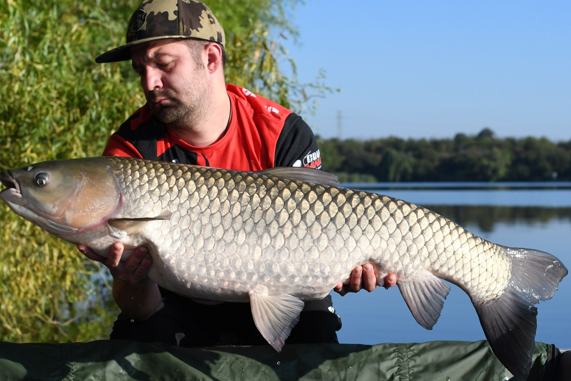 Tancabesti 17 - 23 sept. - DSC8623.jpg